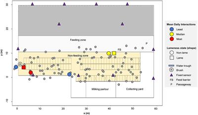 Proximity Interactions in a Permanently Housed Dairy Herd: Network Structure, Consistency, and Individual Differences